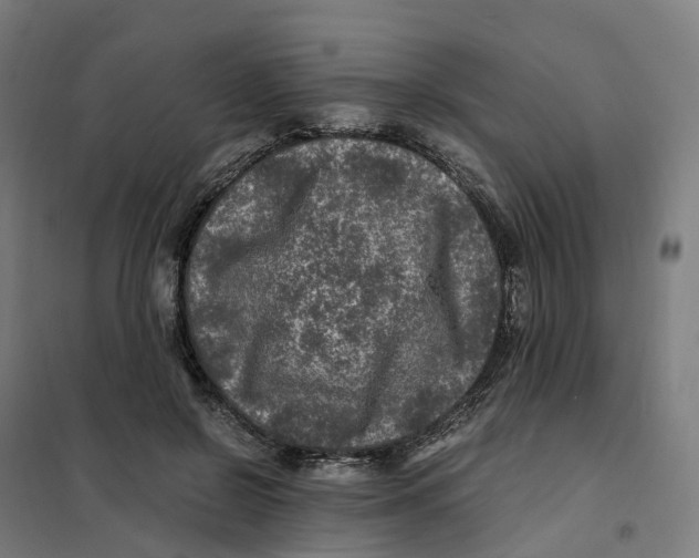 X0000101710550200808071226