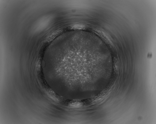 X0000101710551200808071226