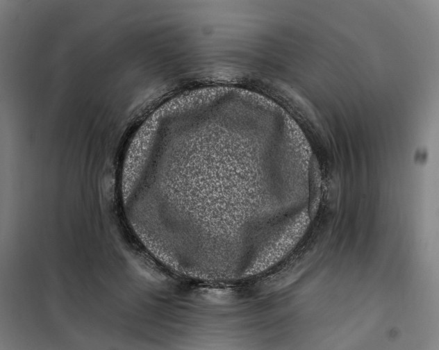 X0000101710552200808071226