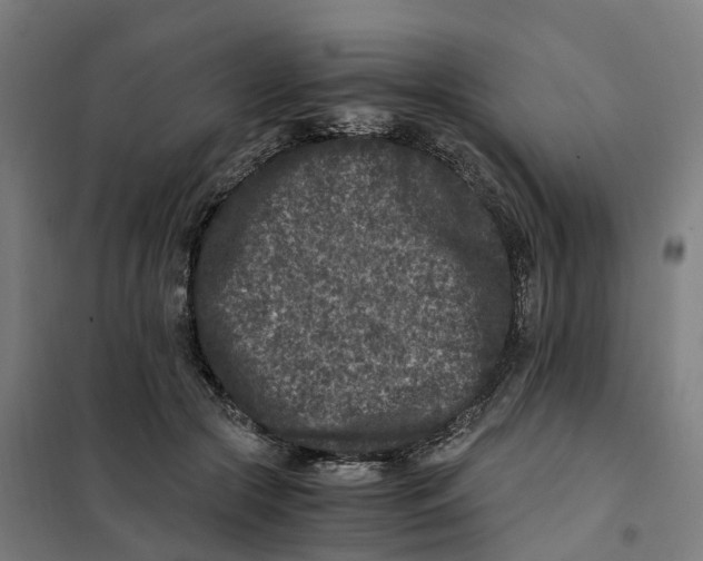 X0000101710553200808071226
