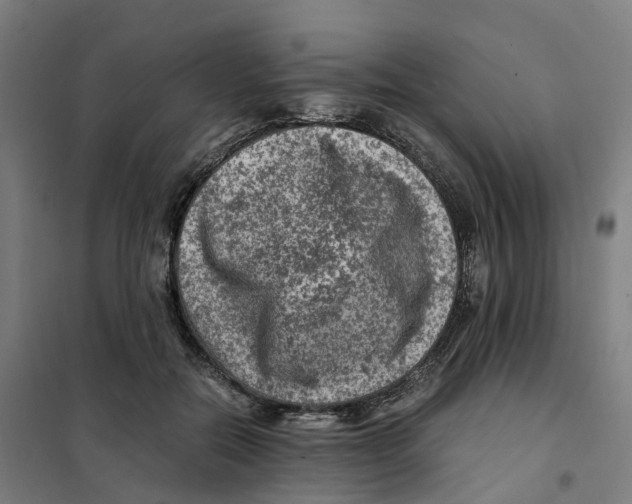 X0000101710554200808071226