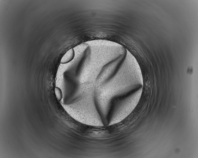 X0000101710555200808071226