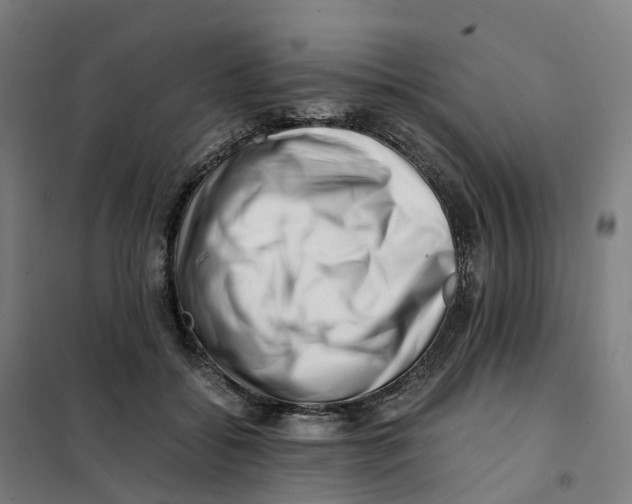 X0000101710556200808071226