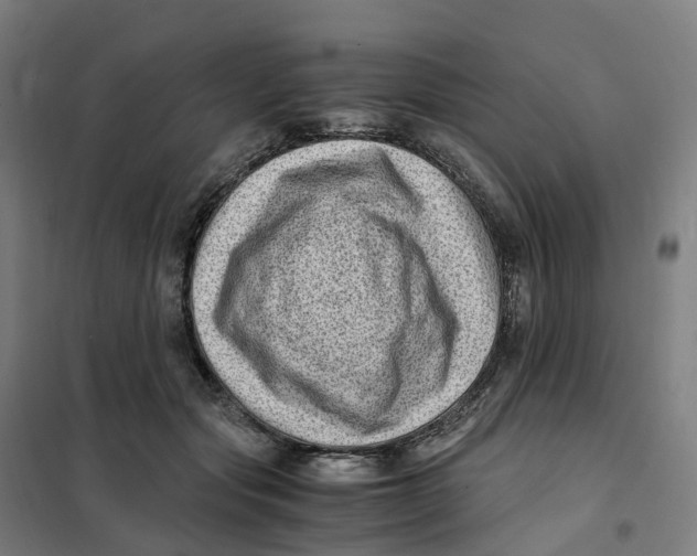 X0000101710557200808071226