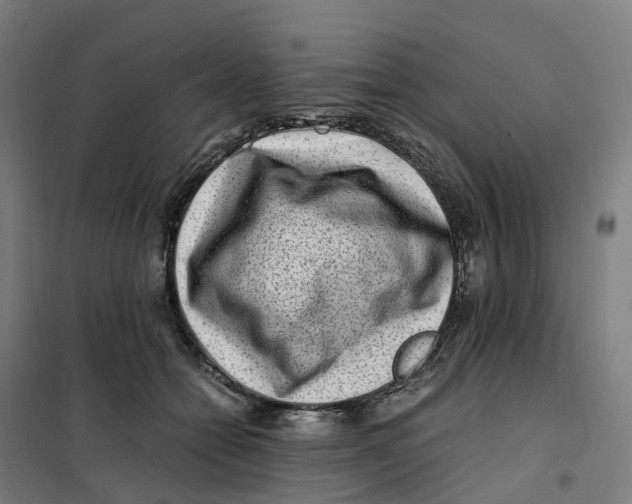 X0000101710558200808071226