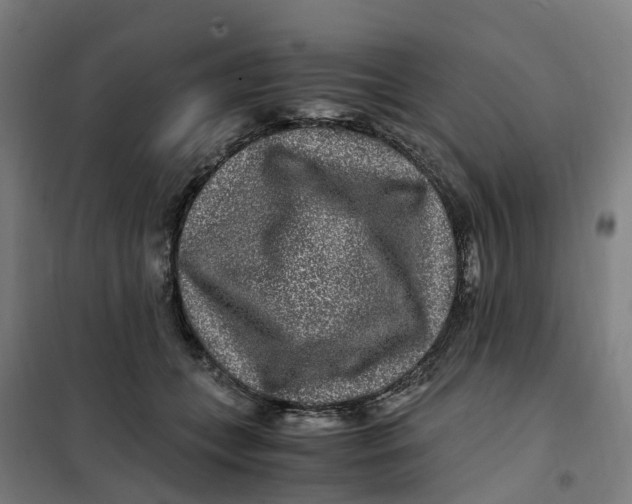 X0000101710559200808071226