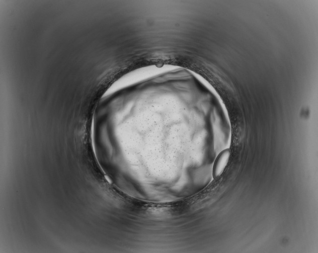 X0000101710560200808071226