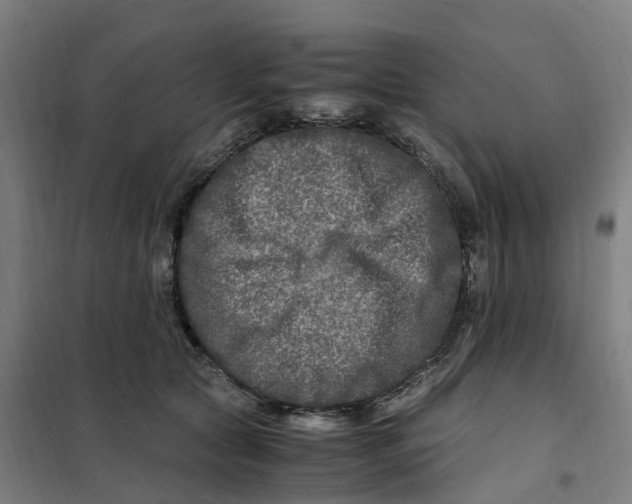 X0000101710561200808071226