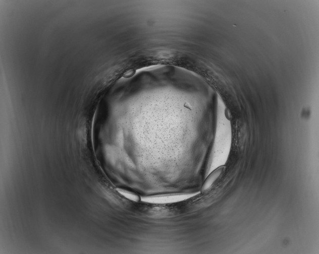 X0000101710562200808071226