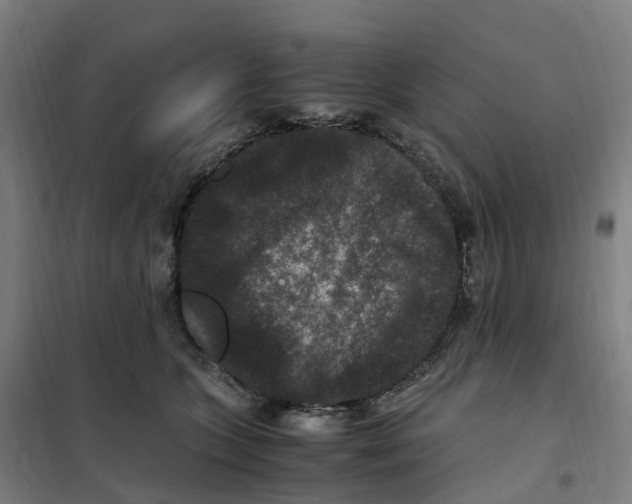 X0000101710563200808071226