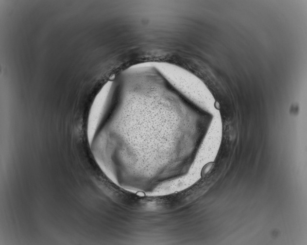 X0000101710564200808071226