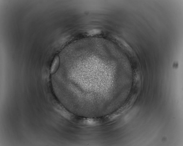X0000101710565200808071226