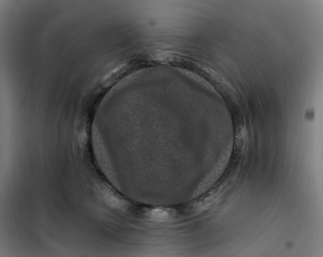 X0000101710566200808071226
