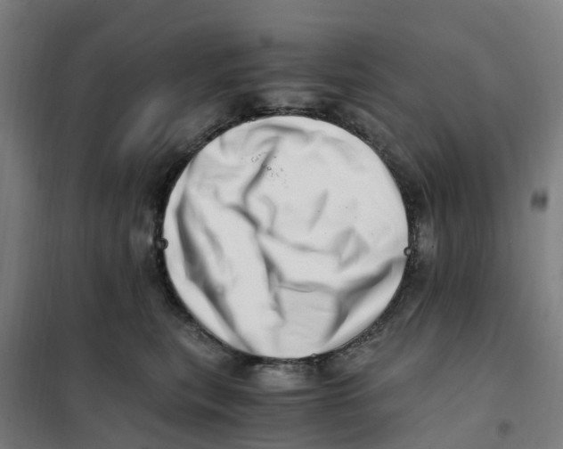 X0000101710567200808071226