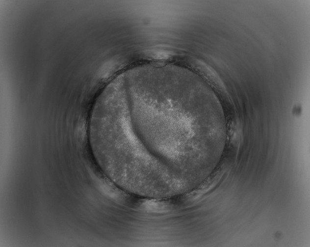 X0000101710568200808071226