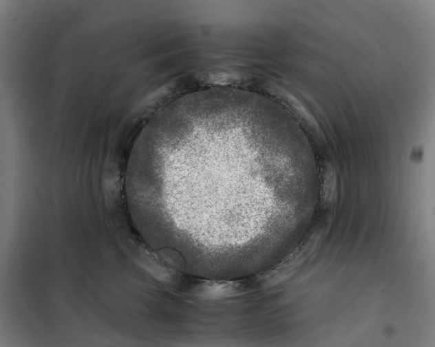X0000101710569200808071226