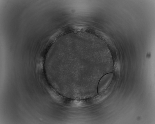 X0000101710570200808071226