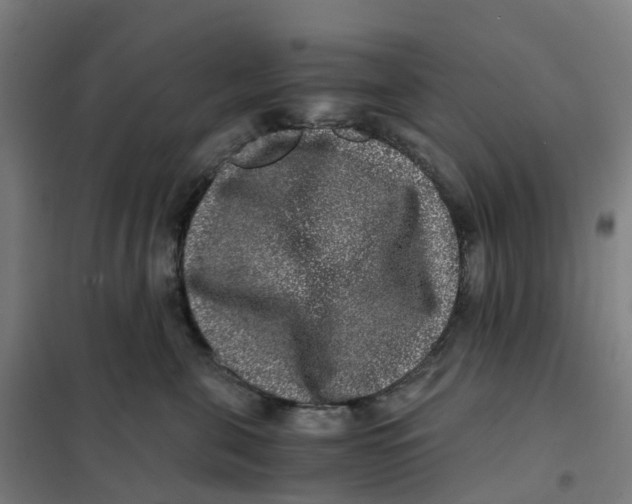 X0000101710571200808071226
