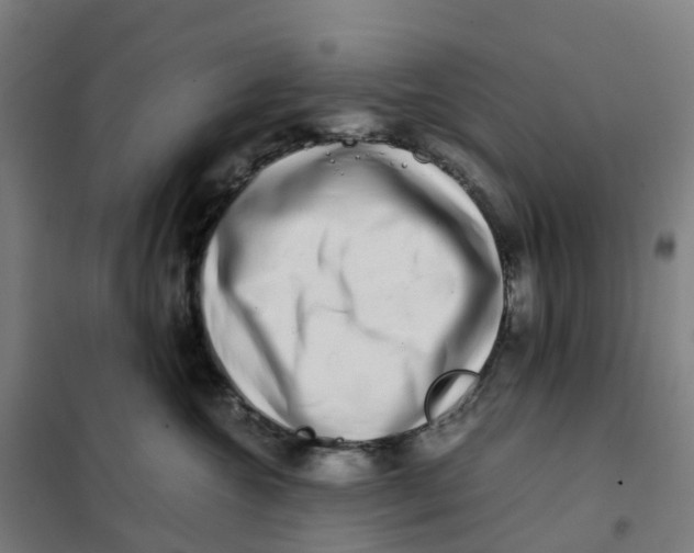 X0000101710572200808071226