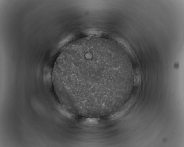 X0000101710573200808071226