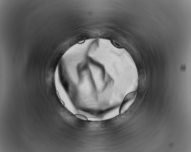 X0000101710574200808071226
