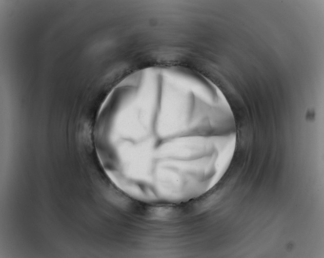 X0000101710575200808071226