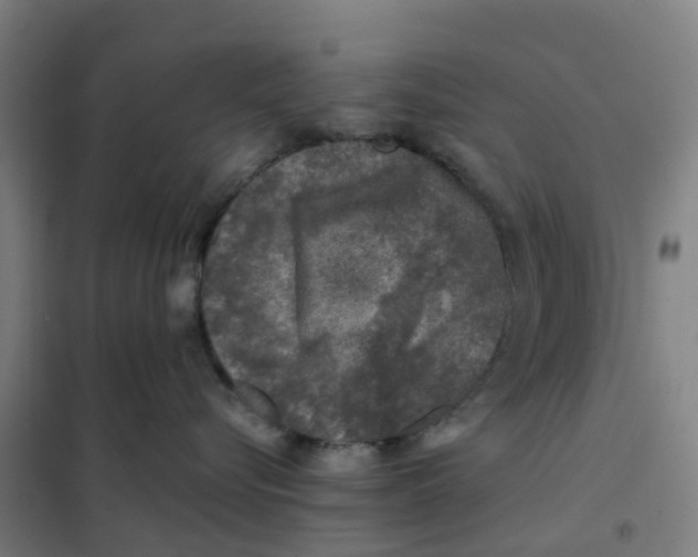 X0000101710576200808071226