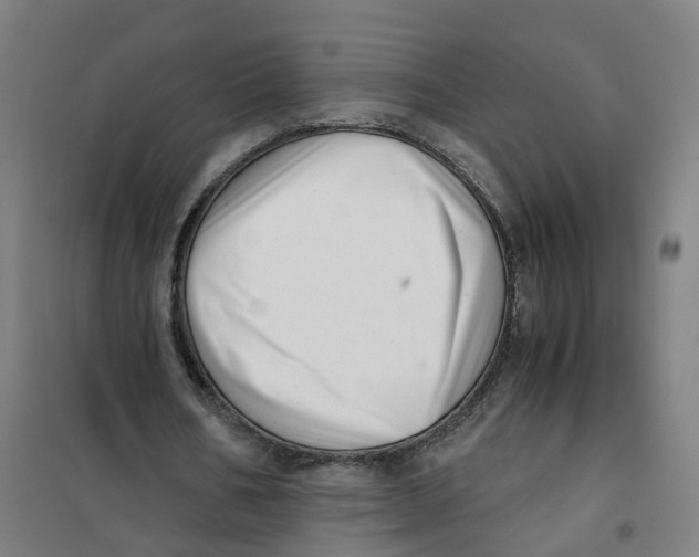 X0000101710578200808071225