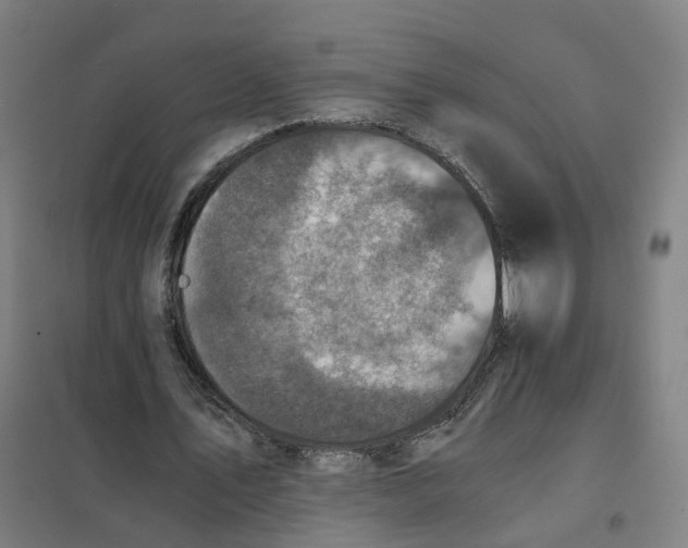 X0000101710579200808071225