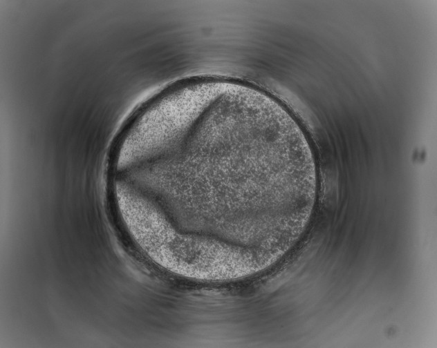 X0000101710580200808071225