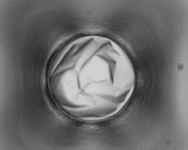 X0000101710582200808071225