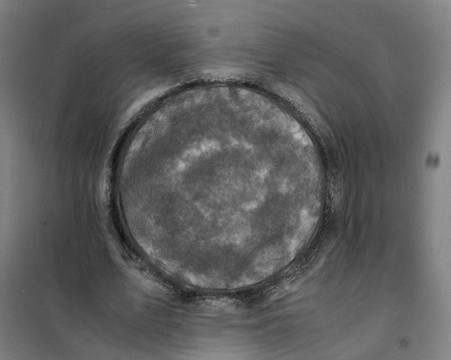 X0000101710583200808071225