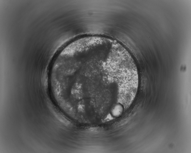X0000101710584200808071225