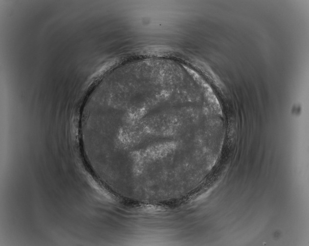 X0000101710585200808071225