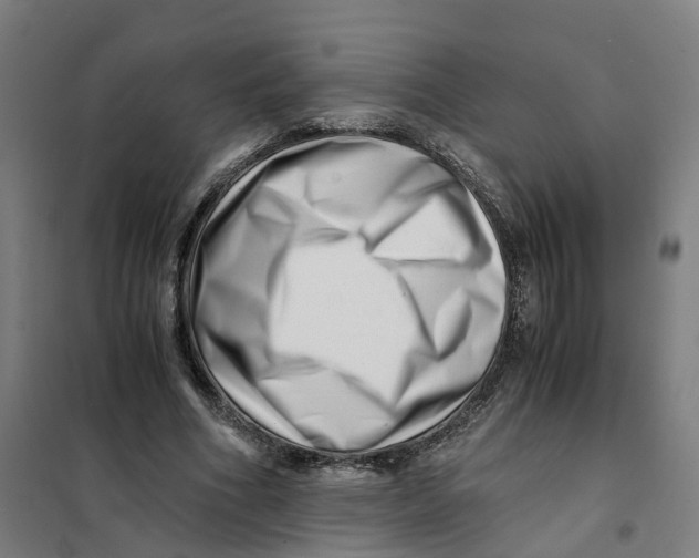 X0000101710586200808071225