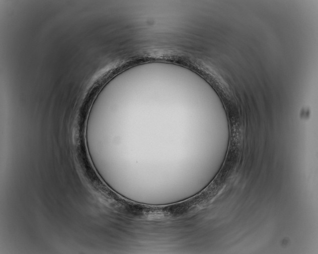 X0000101710587200808071225