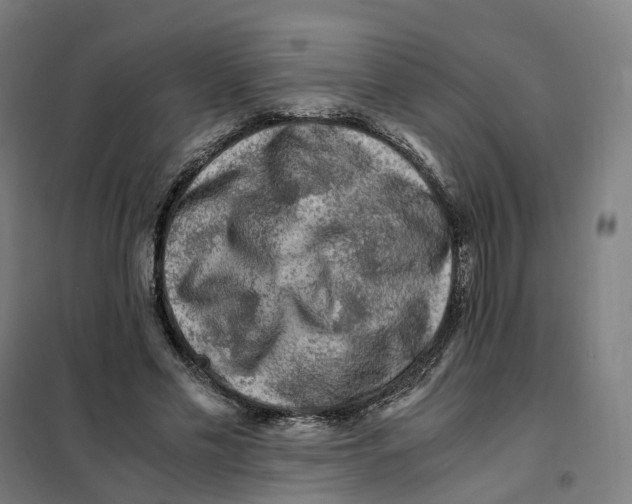 X0000101710589200808071225