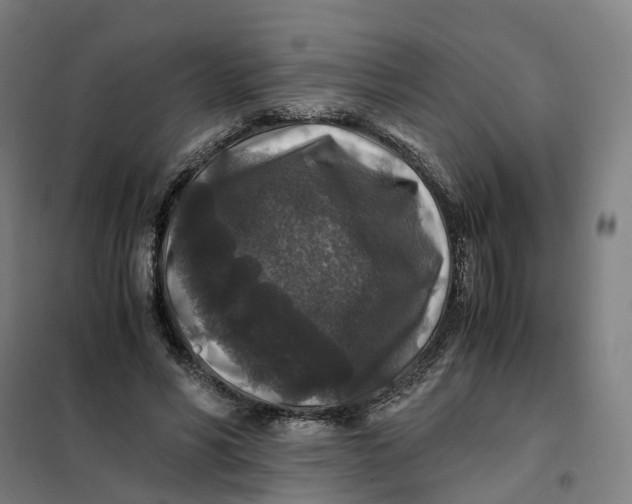 X0000101710590200808071225