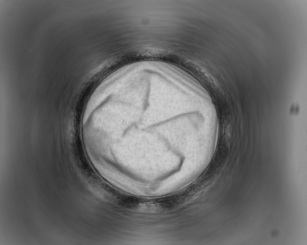 X0000101710591200808071225