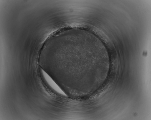 X0000101710592200808071225