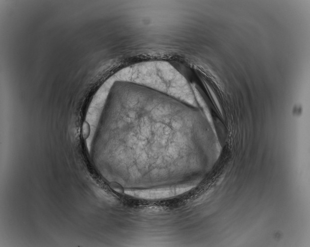 X0000101710593200808071225
