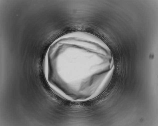 X0000101710594200808071225