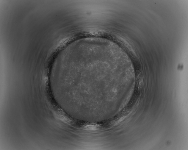 X0000101710595200808071225
