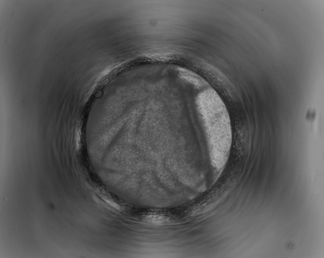 X0000101710596200808071225