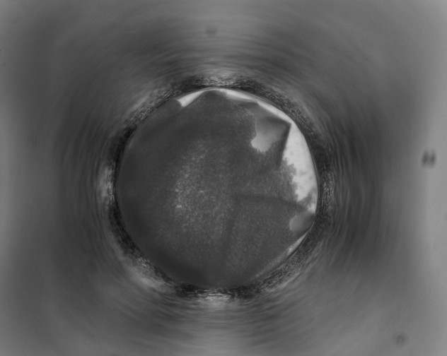 X0000101710598200808071225