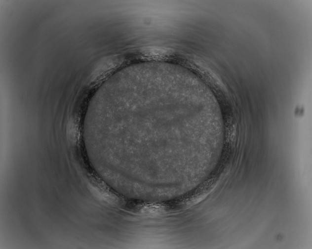 X0000101710599200808071225