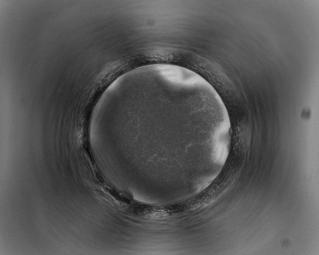 X0000101710600200808071225