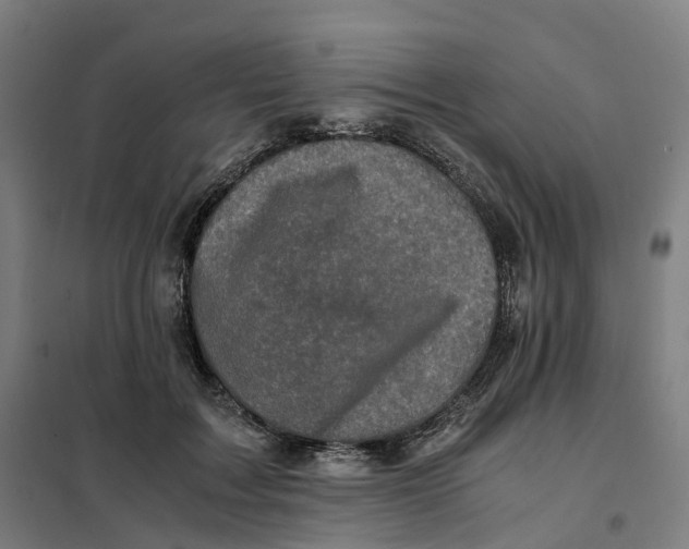 X0000101710603200808071225