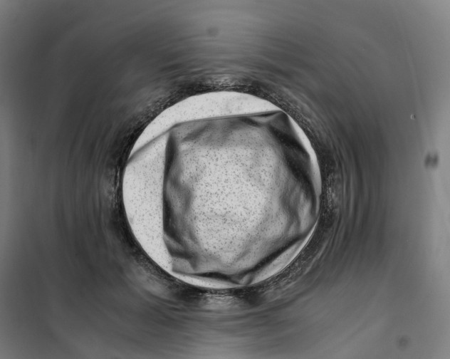X0000101710605200808071225