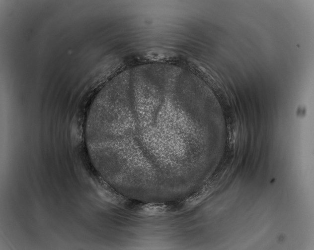 X0000101710606200808071225